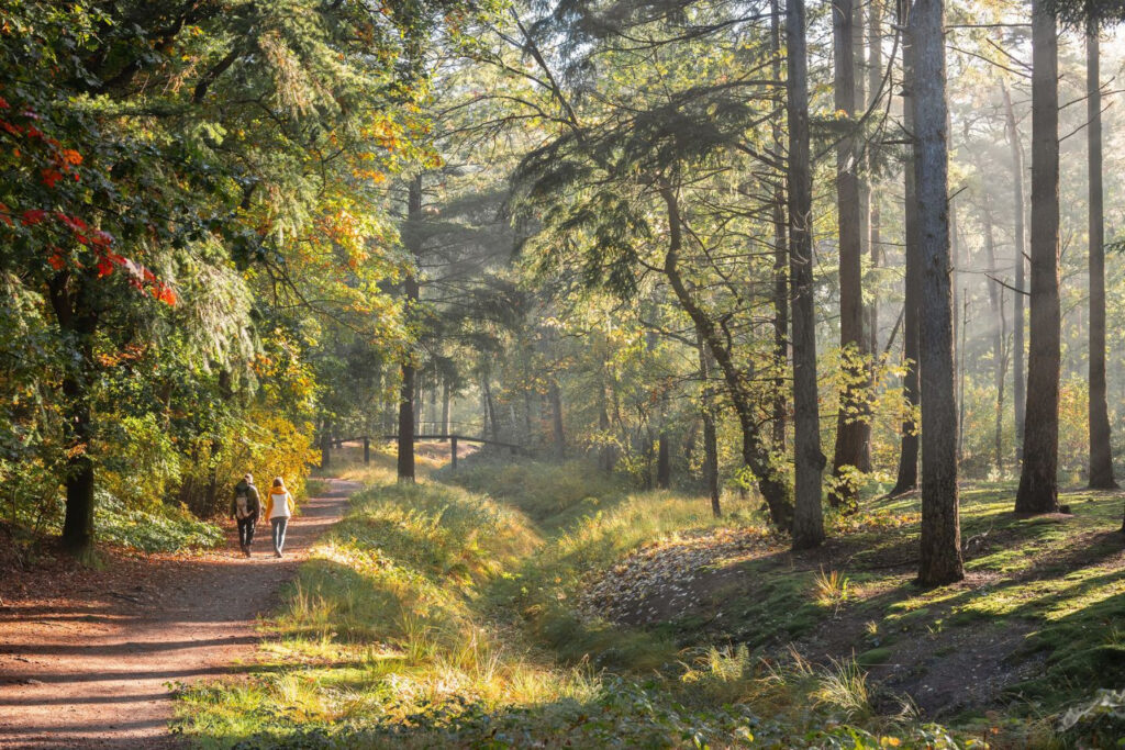 Honderdtien jaar nationale parken